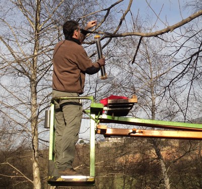 Col.locació de les menjadores al Parc del Valira (Foto: Ajuntament de la Seu)
