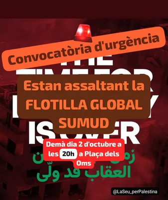 Concentració convocada per La Seu per Palestina 