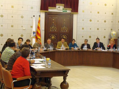 Ple municipal - Novembre 2010
