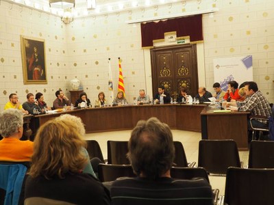 Ple de l'Ajuntament de la Seu