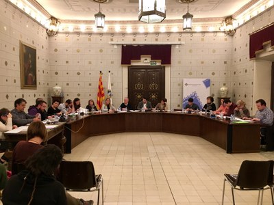 Ple municipal de la Seu d'Urgell 13.02.2017