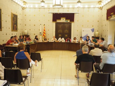 Ple municipal (11.07.2016)