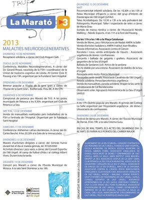 La Marató de TV3 - Cartell 2013
