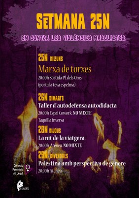 Activitats de Feministes Alt Urgell pel 25-N
