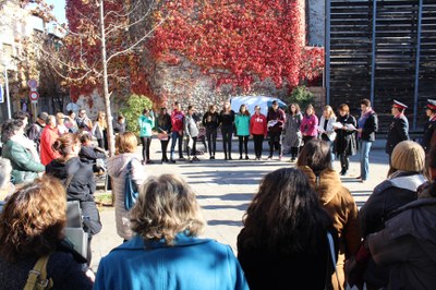 Lectura del manifest del Dia Internacional contra la Violència Masclista (Foto: Ajuntament de la Seu)