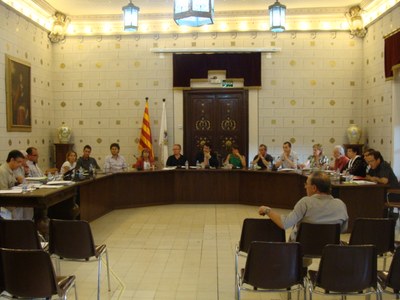 Ple Ajuntament la Seu 2011