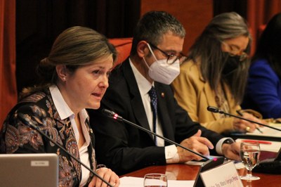 Maria Vergés, en una compareixença recent al Parlament de Catalunya (ACN / arxiu)