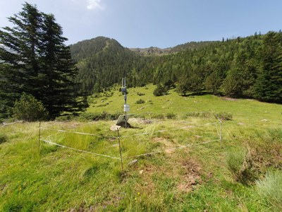 Instal·lació de sistemes via satèl·lit al Pirineu per al monitoratge de bestiar a alta muntanya (Foto: i2CAT)