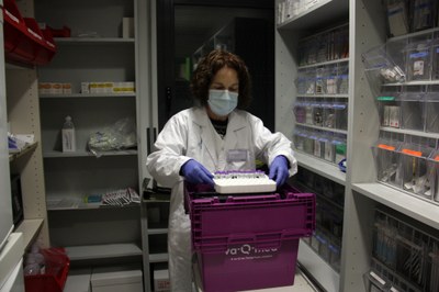Conxita Nogués prepara les dosis del vaccí contra la COVID-19 a la Residència Àngel Serafí Casanovas de Sort (Foto: ACN)