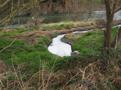Escuma al riu Segre, a prop de l'EDAR de Montferrer