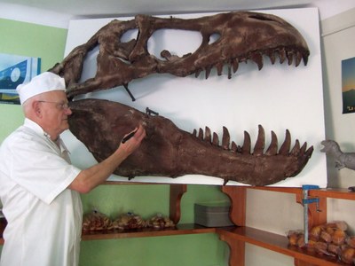 'Dinomona' 09