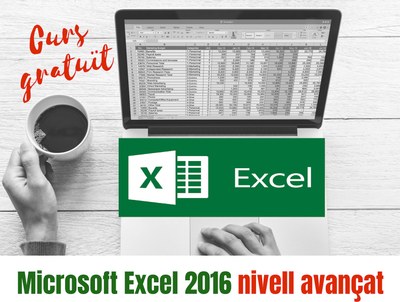 Curs de nivell avançat d'Excel (AEAU)