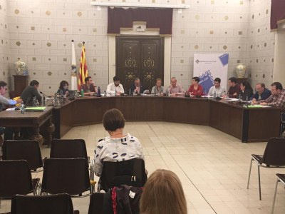 Ple de l'Ajuntament de la Seu d'Urgell