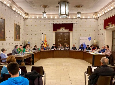 Ple de l'Ajuntament de la Seu d'Urgell