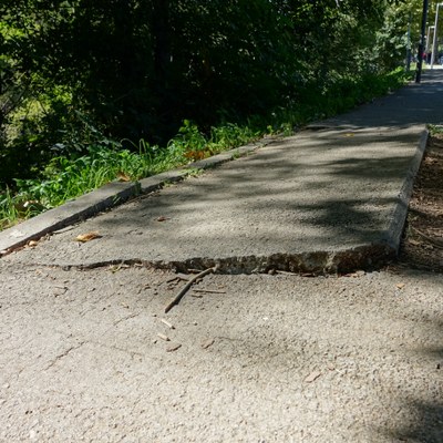 Tram de vorera del cinyell verd de la Seu d'Urgell, entre el pont de la Palanca i el rocòdrom del Parc Olímpic del Segre (Foto: Ajuntament de la Seu d'Urgell)