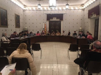 Ple de pressupostos 2024 de l'Ajuntament de la Seu
