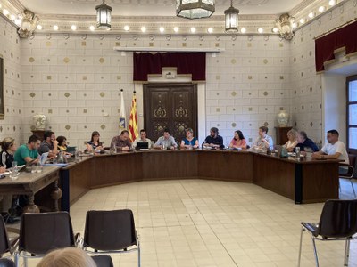 Ple de l'Ajuntament de la Seu d'Urgell - Maig 2024
