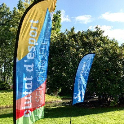 Subvencions a les entitats esportives de la Seu