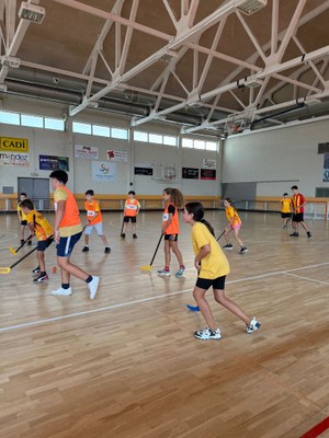 Casal esportiu d'estiu (Foto: Ajuntament de la Seu d'Urgell)