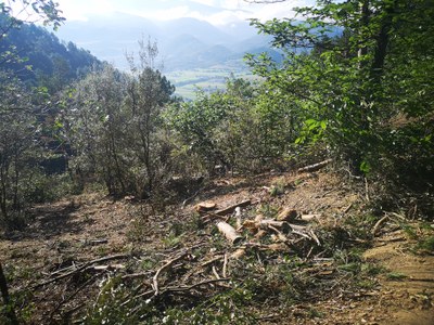 Finca del Pla de les Forques
