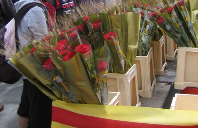 Parada de roses per Sant Jordi a la Seu d'Urgell