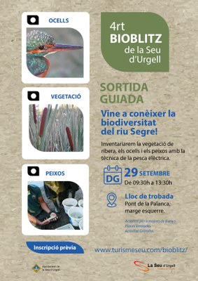 BioBlitz al riu Segre, al seu pas per la Seu d'Urgell
