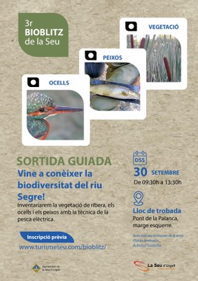 Bioblitz a la Seu d'Urgell