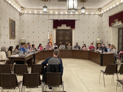 Ple de l'Ajuntament de la Seu d'Urgell - Febrer 2024