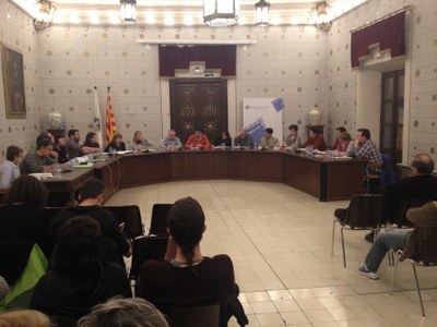 Ple de l'Ajuntament de la Seu