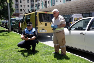 Recollida de mostres de caques de gos a l'espai públic a la Seu (Foto: ACN)