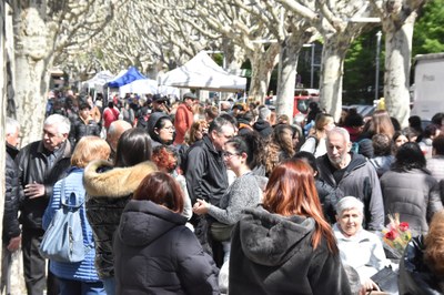 Celebració de Sant Jordi a la Seu d'Urgell (Foto: RàdioSeu)