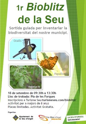Primer BioBlitz de la Seu
