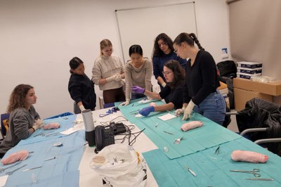 Alumnat realitzant una sessió pràctica sobre sutures en un centre sanitari del Pirineu (Foto: Comunicació ICS)  
