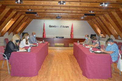 Reunió de presidents de consells comarcals de l'Alt Pirineu i de la síndica d'Aran, a Vielha (CGA)