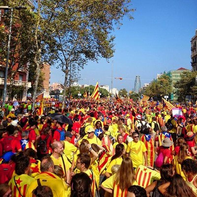 Via Catalana 2014 - Trams 29 i 30 (Foto: Marc Cortina)