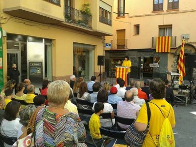 Diada 2014 - Acte institucional