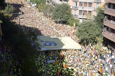 Manifestació de la Diada del Sí a Barcelona (Foto: ACN)