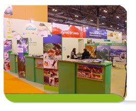 Fitur 2008