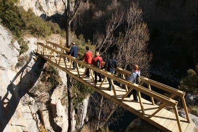 Camí de Sant Jaume - Pontarrons