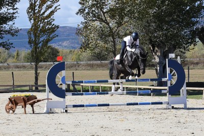 Concurs social de salts d'INEFC Pirineus, al Cerdanya Equestrian Centre