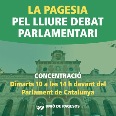 Concentració d'UP davant el Parlament