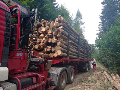 Un camió de transport de fusta en una pista forestal de l'Aran (Foto: CGA)