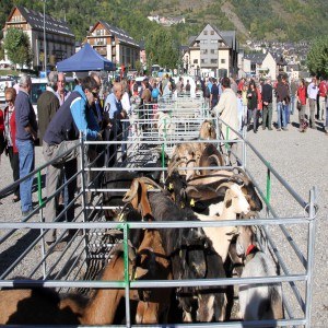 Fira ramadera de Vielha (Foto: www.visitvaldaran.com)