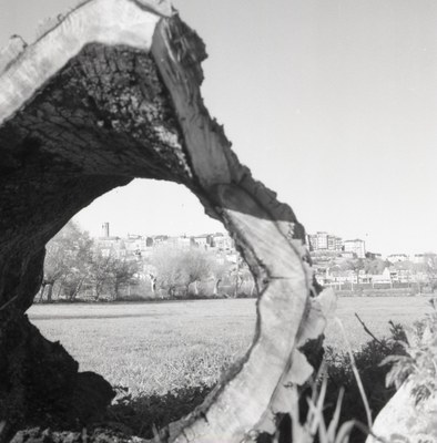 Puigcerdà a mitjan segle XX (Fons Josep Bosom)