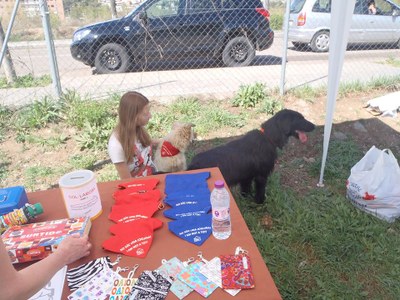 Associació pels Animals del Pirineu - Foment adopció