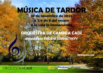 Concert de Tardor de l'Associació Orquestra Cadí