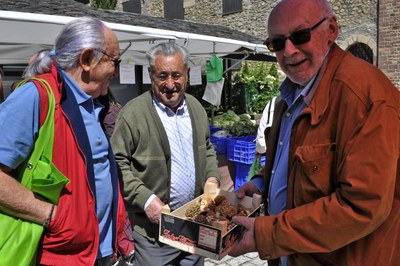 Bolets - Venedors al mercat de la Seu