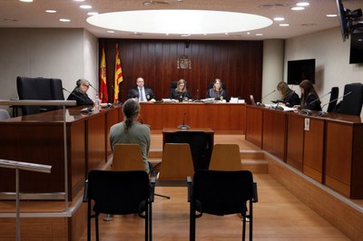 Celebració de la vista de conformitat per la denúncia per una agressió a l'alcalde d'Alins (Foto: ACN)