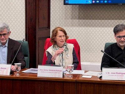 Esther Giménez-Salinas, en una recent intervenció al Parlament (Foto: Parlament de Catalunya)