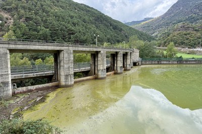 L'aigua a la zona de les comportes del pantà de la Torrassa presenta un color verd groguenc (Foto: ACN/Marta Lluvich)